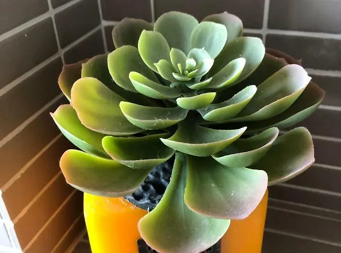 Smart Mare & Movida Apartment Pescara